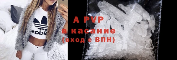 прущие грибы Аркадак
