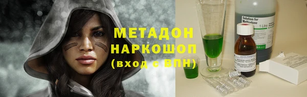 прущие грибы Аркадак