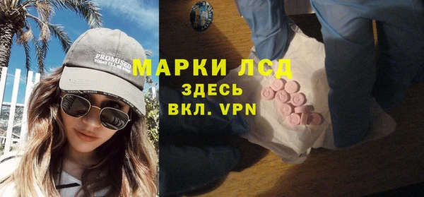 прущие грибы Аркадак