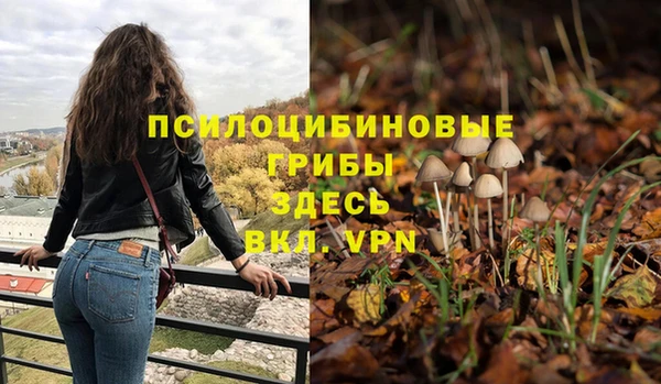 PSILOCYBIN Балахна