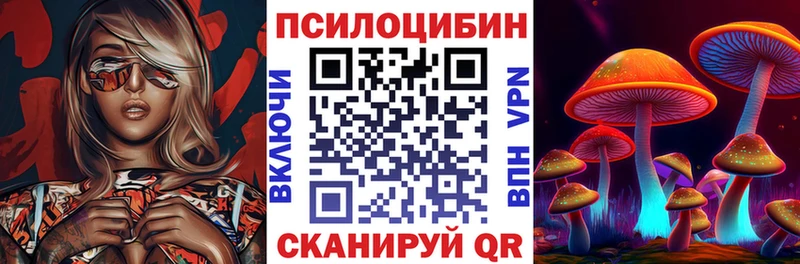 купить   Ершов  OMG зеркало  shop Telegram  Псилоцибиновые грибы GOLDEN TEACHER 