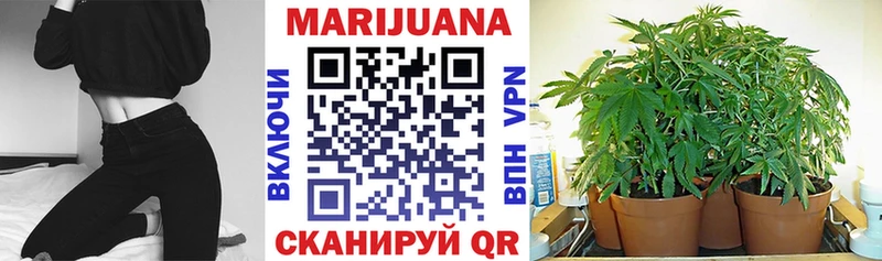 Бошки Шишки гибрид  мега ССЫЛКА  Ершов 